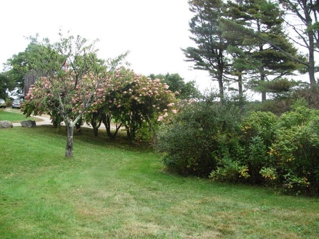 Building Photo - 2BR WATERFRONT OASIS RETREAT Webb Field Rd