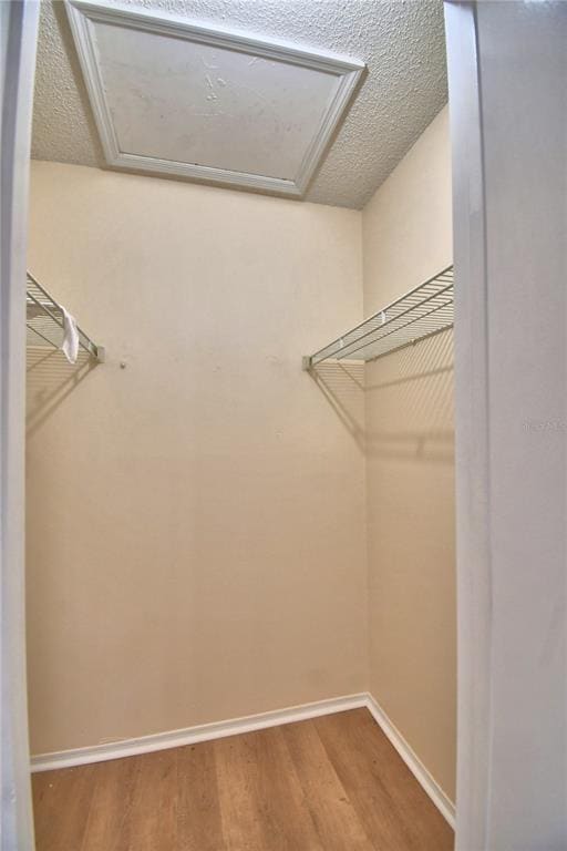 Building Photo - 11701 Minto Ct