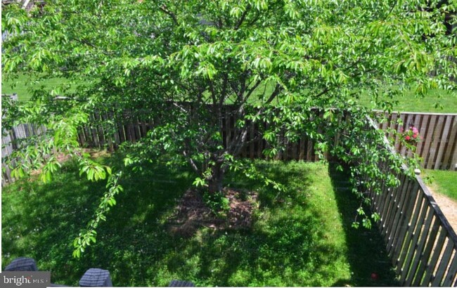 Building Photo - 25508 Crossfield Dr