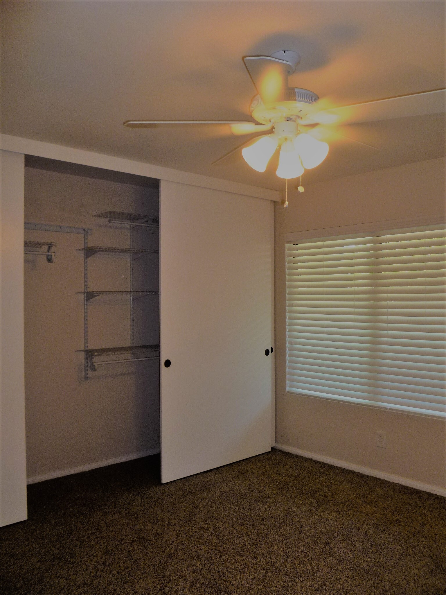 Primary Bedroom - 8438 Summerdale Rd