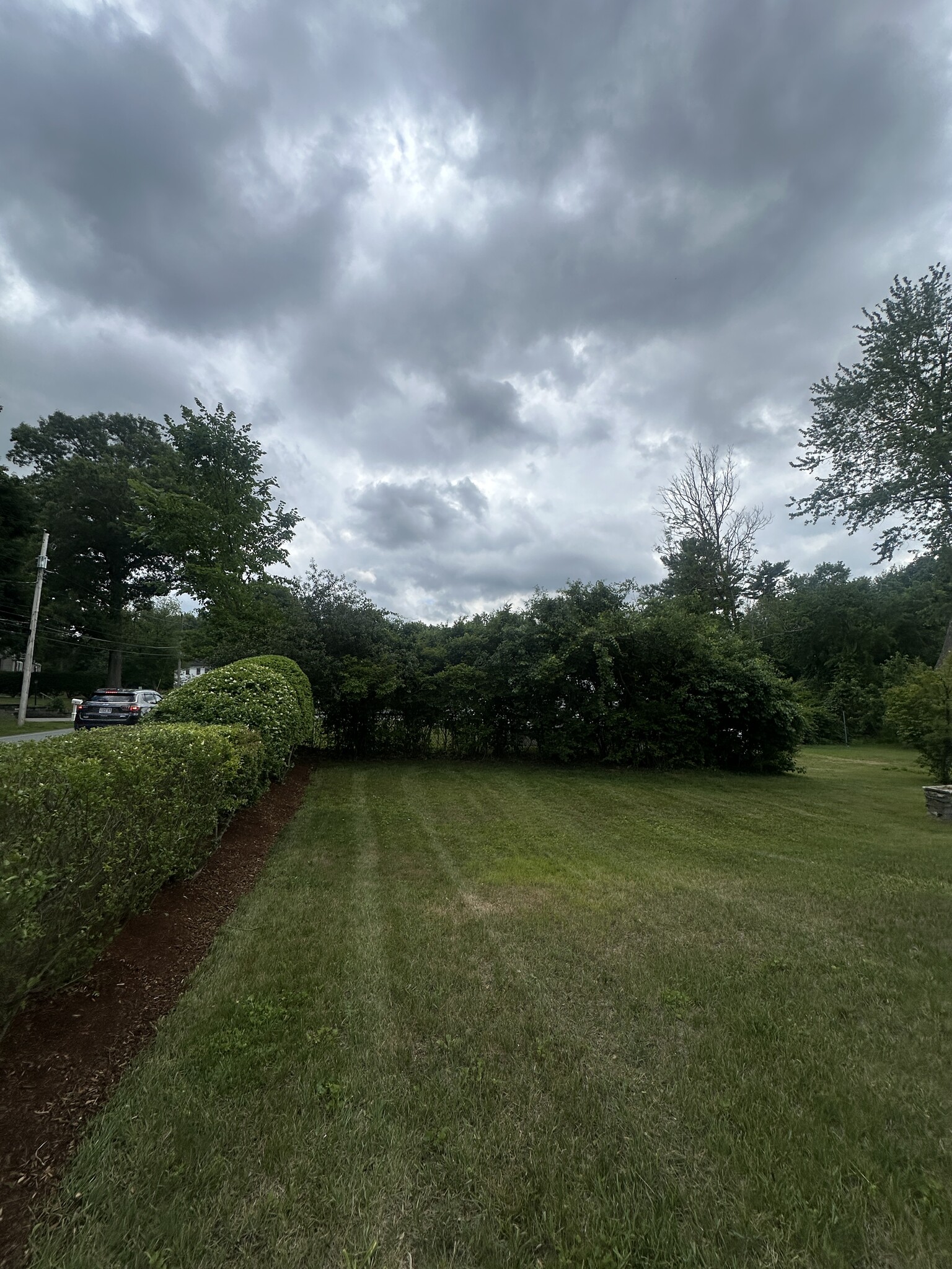 Professionally maintained lawn - 363 Concord Rd
