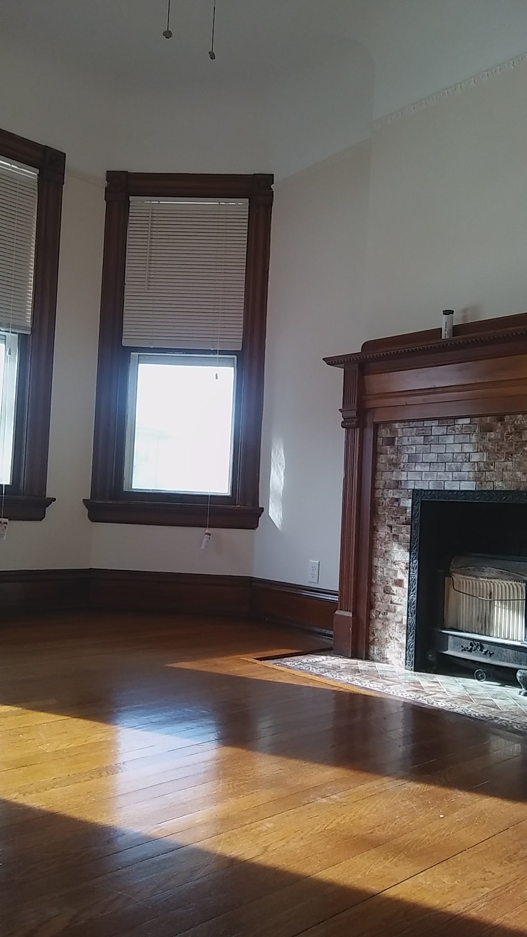 Living room - 1562 E Irving Plz