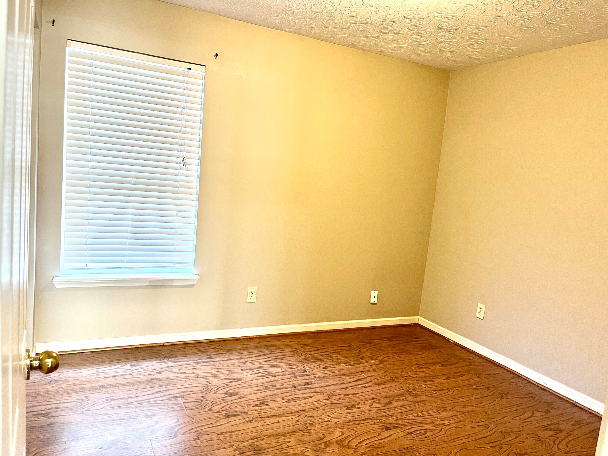 Building Photo - 2317 Lonan Ct