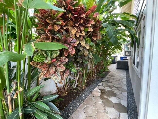 Building Photo - 4 bedroom, 2.5 bath, Mountain and Ocean Ba...