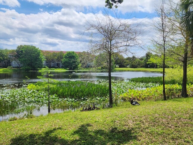 Building Photo - 5816 Monterra Club Dr