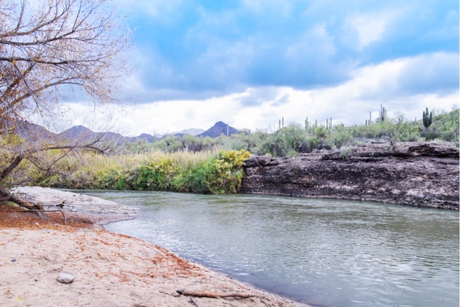 Building Photo - 3Bed/2.5Bath Home in Rio Verde! Ready for Immediate Move-In!