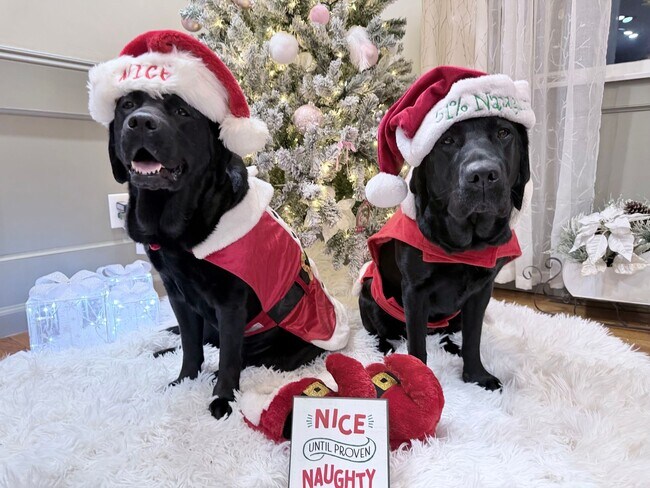 Building Photo - Good news! Making Santa's good list means free application fees until Friday!