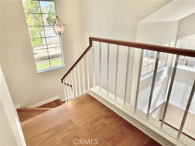 Building Photo - 26161 Owl Ct