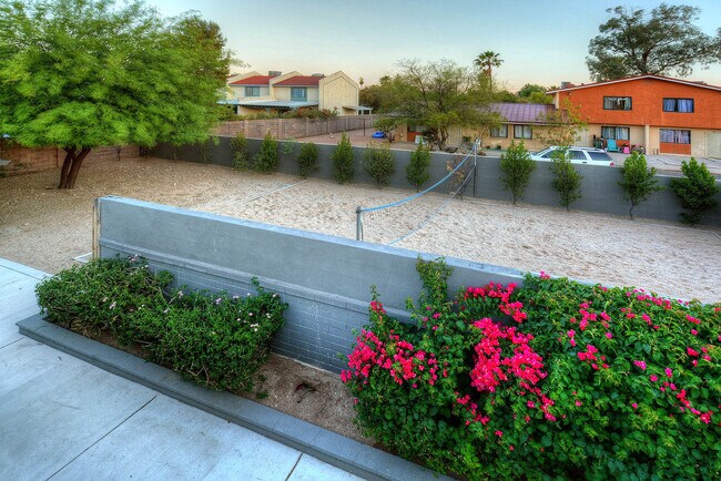 Building Photo - Luxury housing ,Close to U of A! Newly Ren...