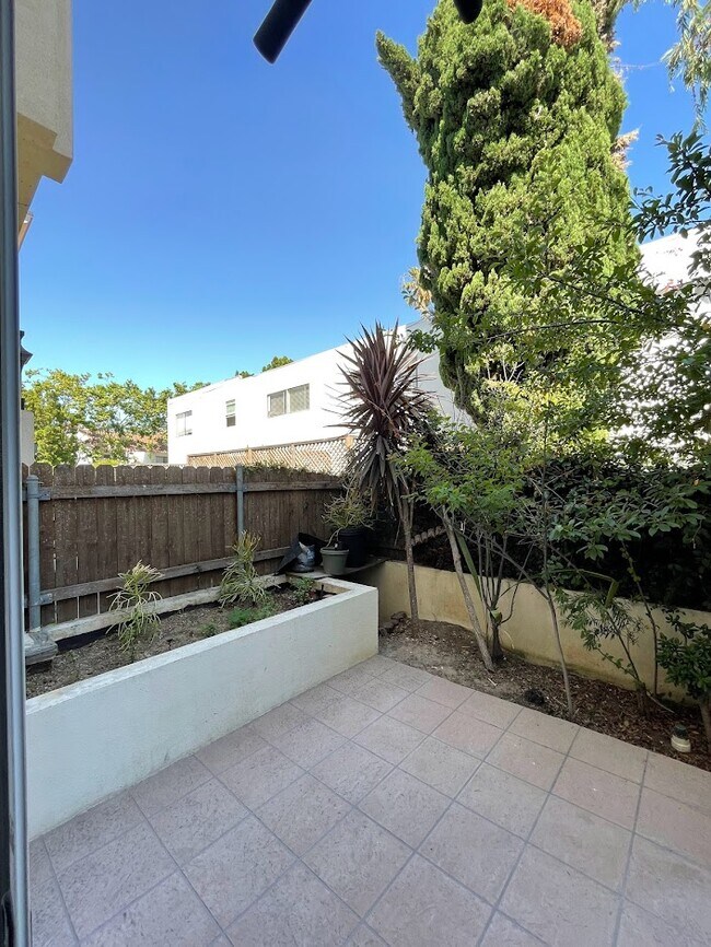 Patio - 1513 Berkeley St