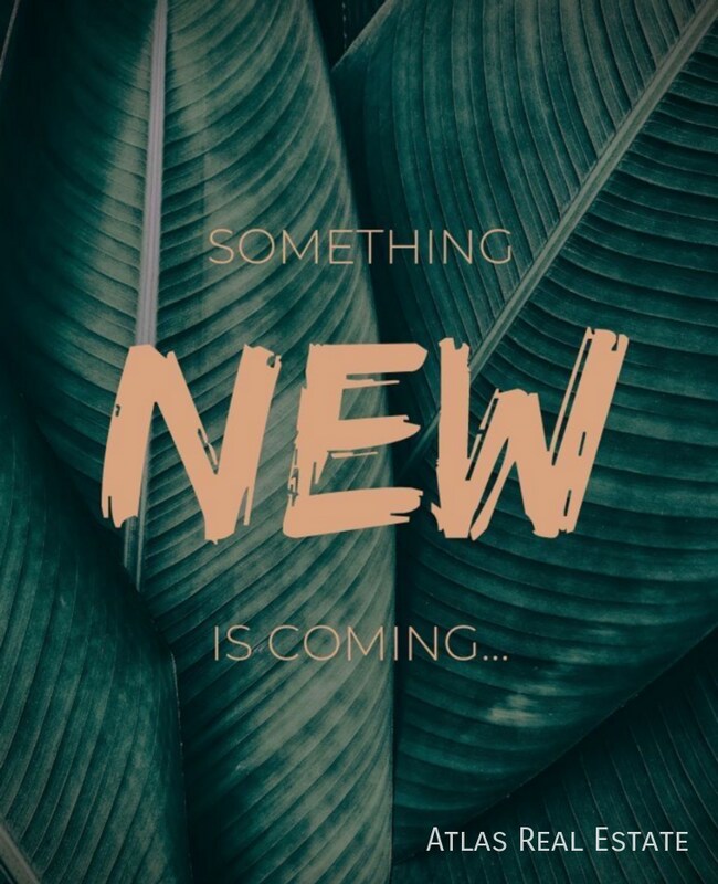 Primary Photo - 8920 Topaz Springs Ct