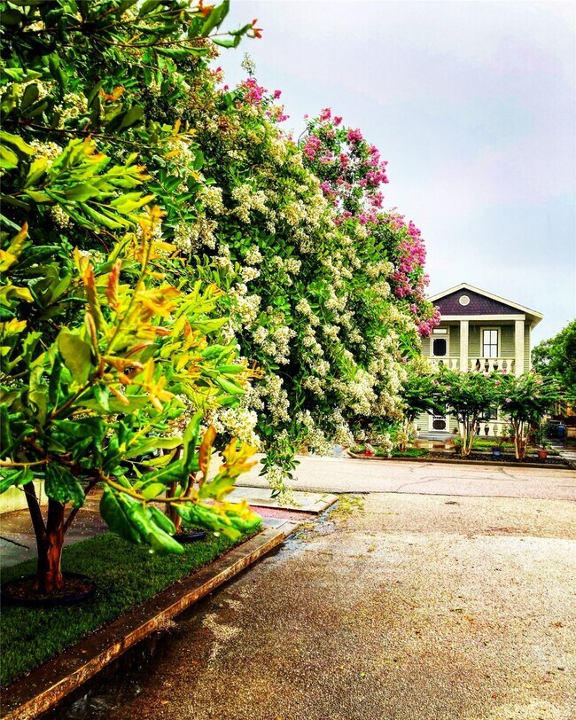 Building Photo - 3012 Avenue O 1/2