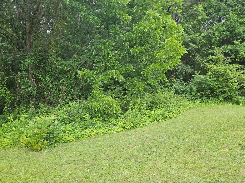 Privacy and green space - 305 Pope Field Rd #A