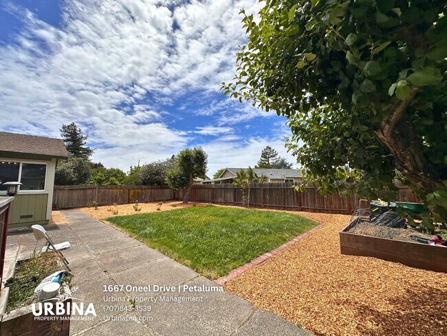 Building Photo - Spacious East Petaluma Home with Main-Floor Bedroom Suite