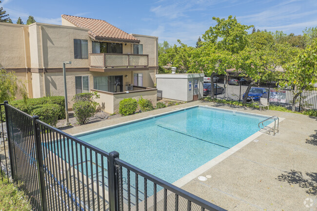 Pool - Oxford Gardens