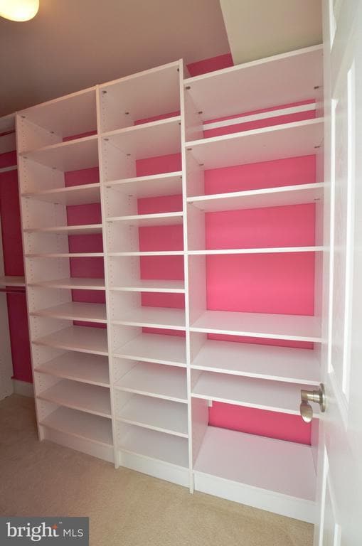 Building Photo - 3053 Waterloo Ln