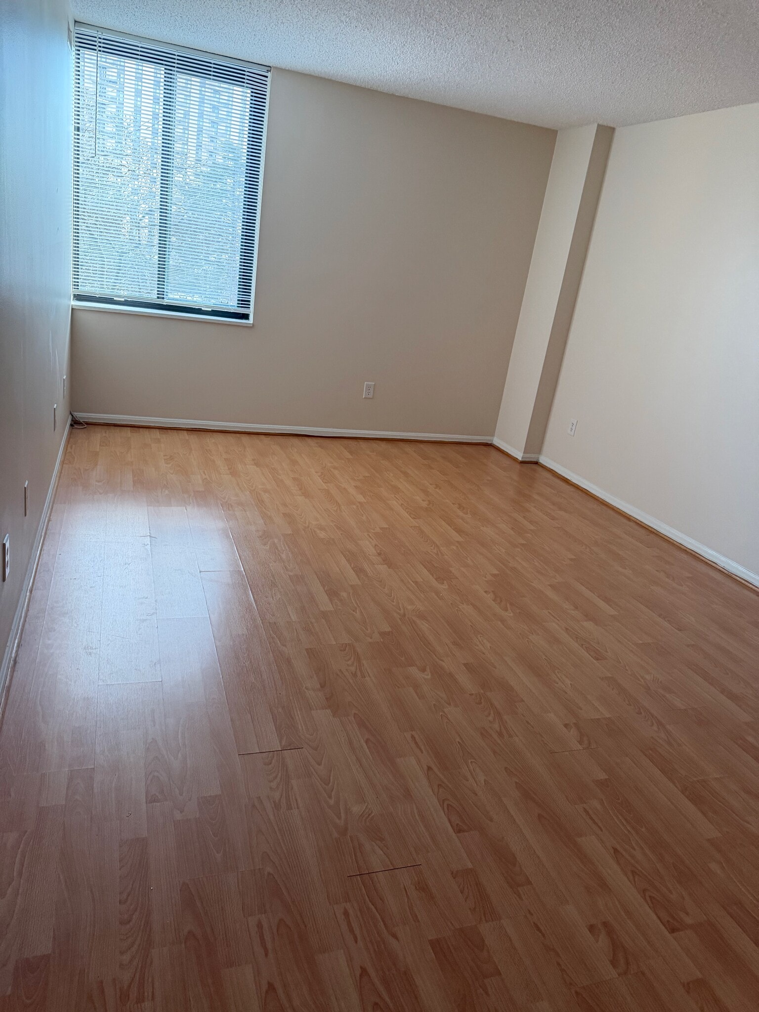 Master Bedroom - 7401 Westlake Ter