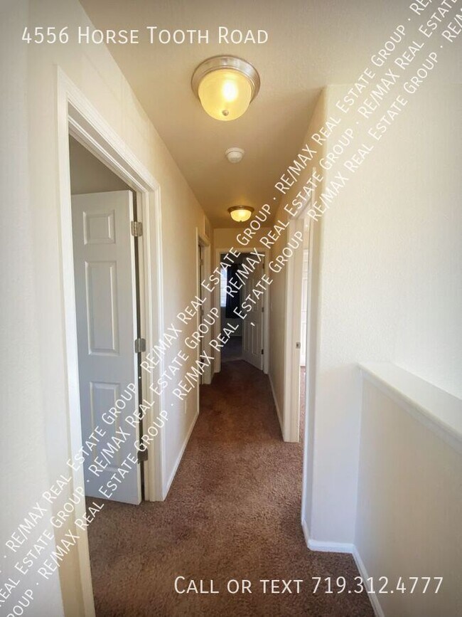 Building Photo - 4556 Horse Tooth Rd