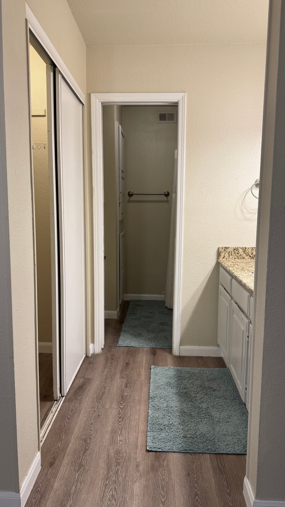 Master Bathroom - 356 W Harwood Rd