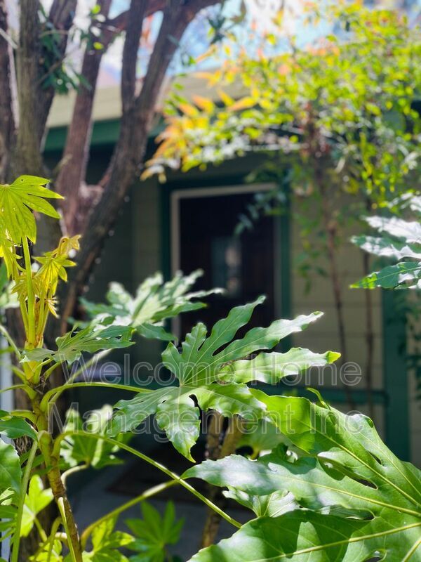 Building Photo - 2561 Olympic Blvd