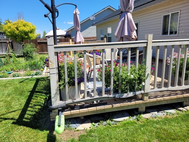 Backyard - 776 Parkwood Dr
