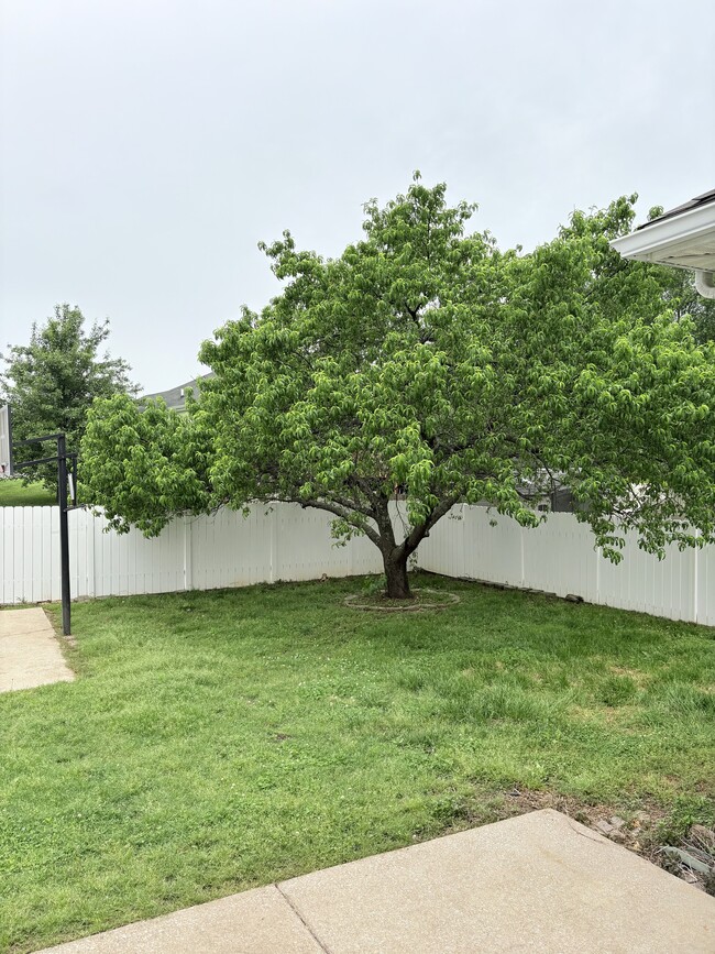 Building Photo - 3255 Cave Springs Ave