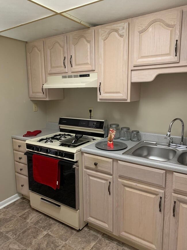 kitchen - Giant Oaks Apartments