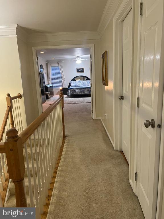 Building Photo - 12429 Willow Falls Dr