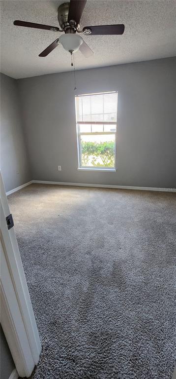 Building Photo - 1231 Apopka Ln