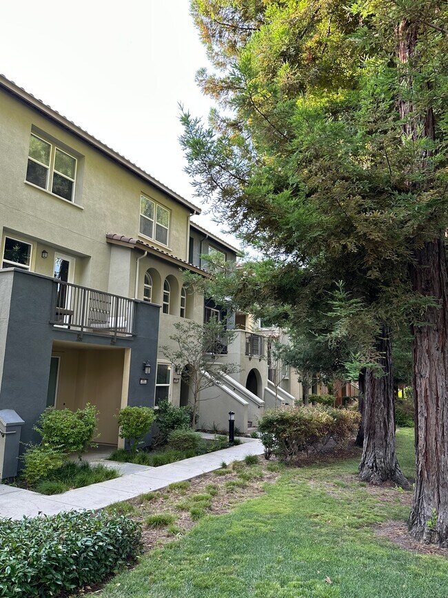 Building Photo - 556 Santa Rosalia Ter