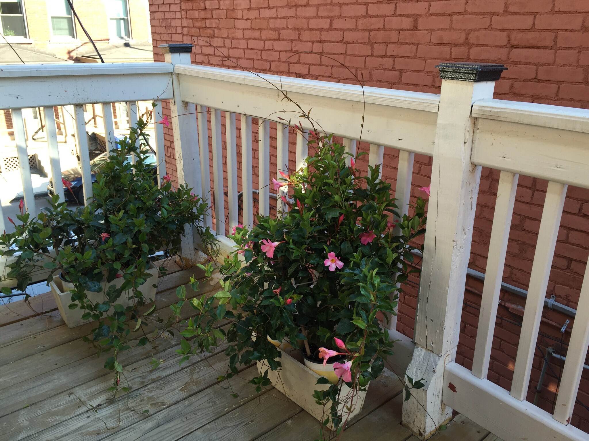 Building Photo - 1145 Jaeger St