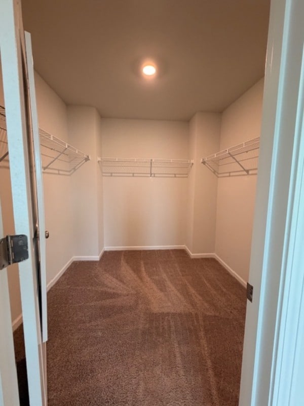 Building Photo - 501 Cricket Chirp Ln