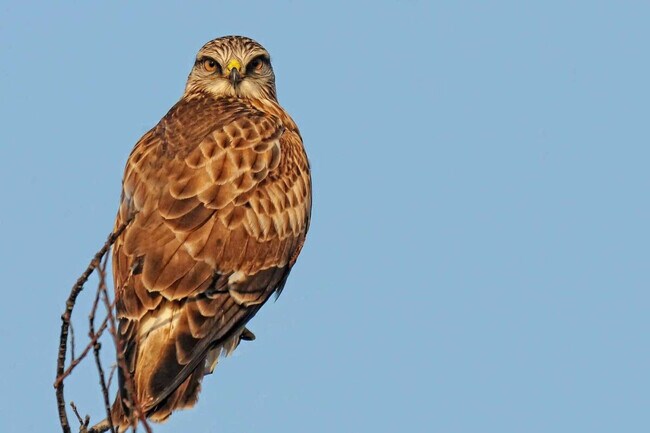 Building Photo - 6 Middle Rd