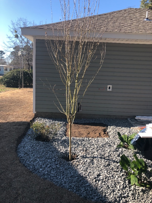 Building Photo - 610 Lesia Ln