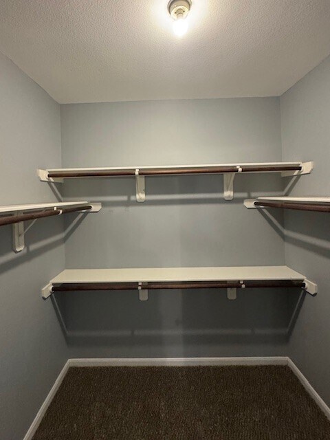 Building Photo - 12511 Silver Cup