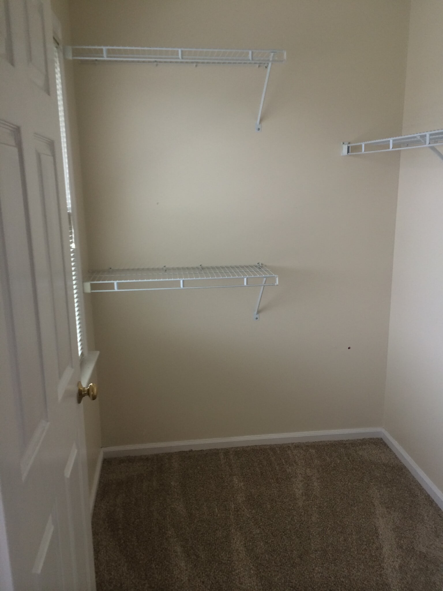 Building Photo - 1520 Tussey Ct