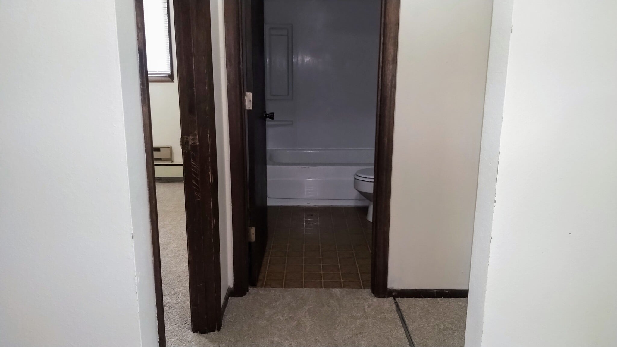 Hallway looking into bathroom - 414 10th Ave S