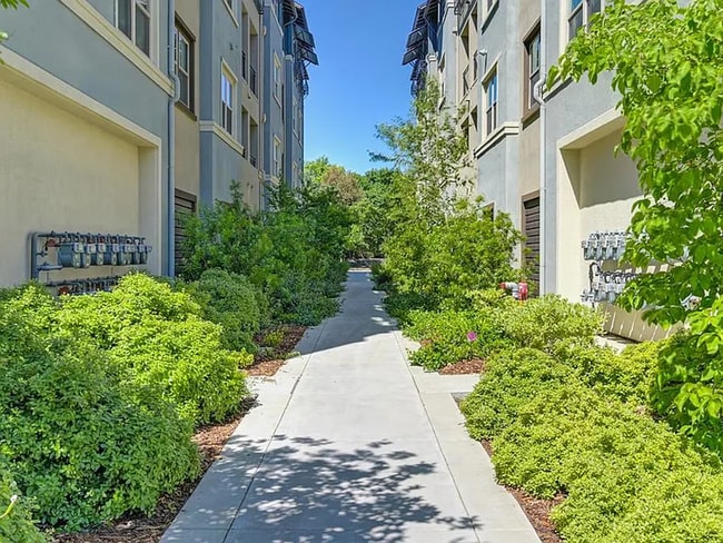 Building Photo - Premier 2/2 Condo in The Cannery