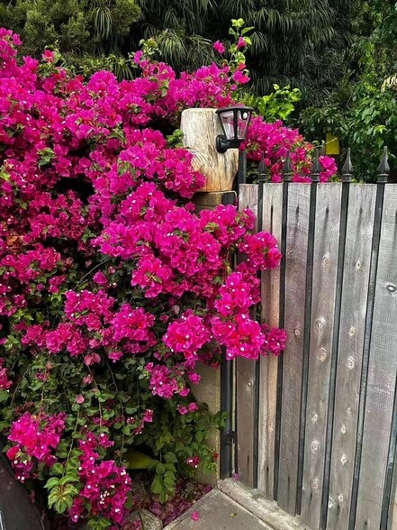 Building Photo - 848 E Northridge Ave