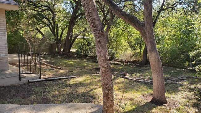 Building Photo - Rocky Pine Woods