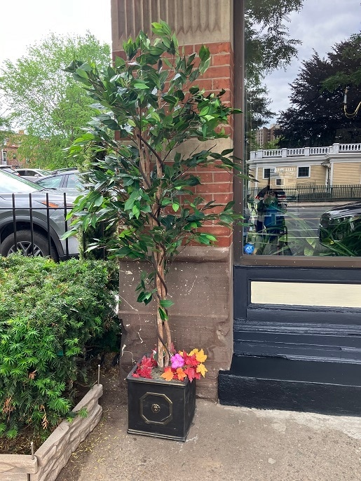 Building Photo - Capitol Living Apartments