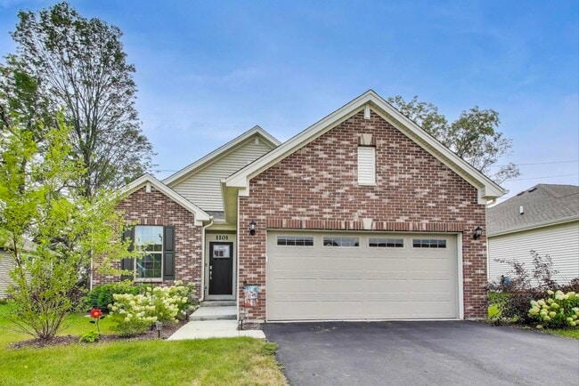 Primary Photo - 1101 Black Cherry Dr