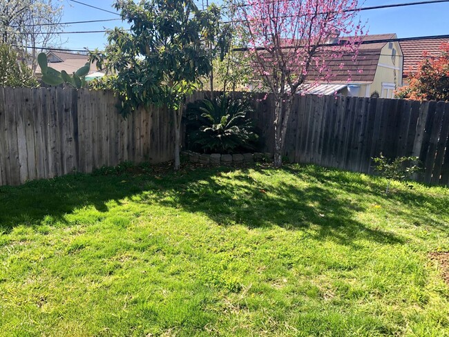 Building Photo - Cute As A Bug 3/1!  (PLEASE READ ENTIRE AD...