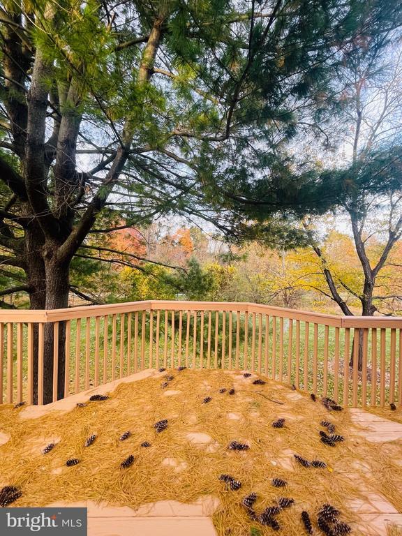 Building Photo - 8545 Black Star Cir