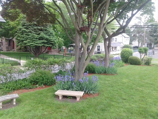 Backyard - 8139 Frankford Ave