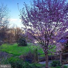 Building Photo - 85 Valley Rd