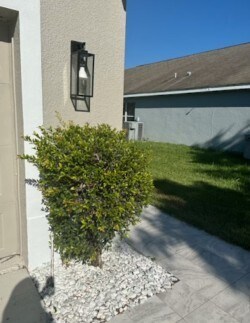 Building Photo - 161 Southampton Dr