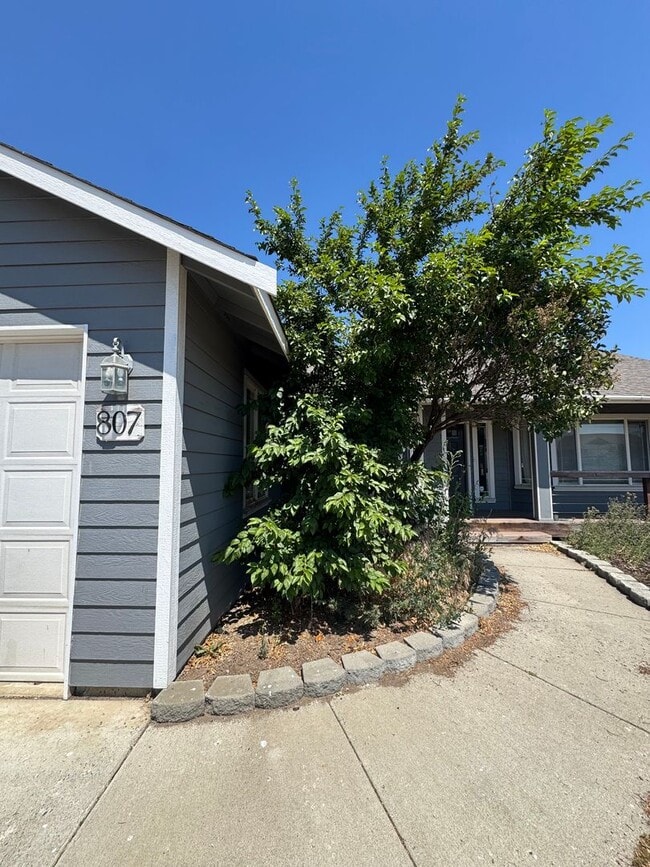 Primary Photo - Spacious & Modern 3-Bedroom Home for Lease...