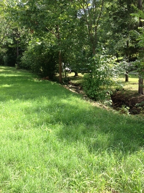 Building Photo - Single-Family Home in Branson