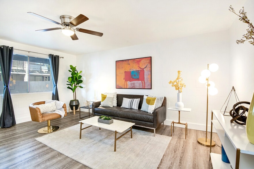 Primary Photo - Paragon on Pima